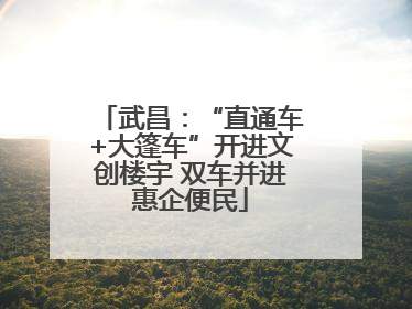 武昌：“直通车+大篷车”开进文创楼宇 双车并进惠企便民