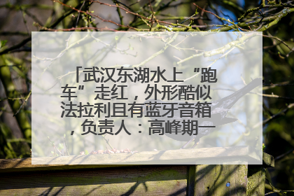 武汉东湖水上“跑车”走红，外形酷似法拉利且有蓝牙音箱，负责人：高峰期一两百人排队