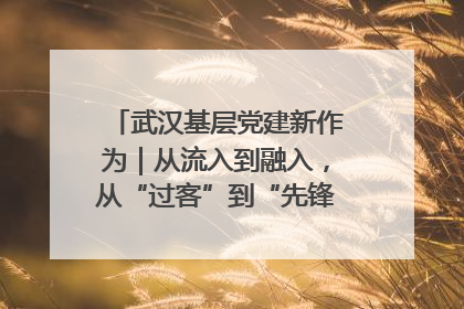 武汉基层党建新作为｜从流入到融入，从“过客”到“先锋” 武汉为流动党员筑起温暖之家