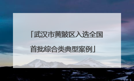 武汉市黄陂区入选全国首批综合类典型案例