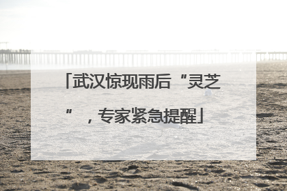 武汉惊现雨后“灵芝”，专家紧急提醒
