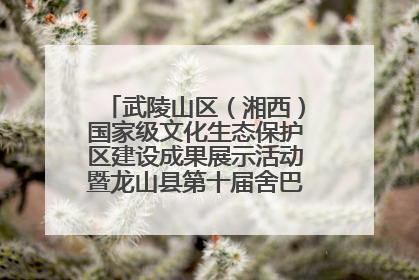 武陵山区（湘西）国家级文化生态保护区建设成果展示活动暨龙山县第十届舍巴日即将启幕