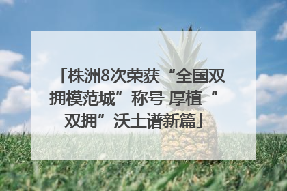 株洲8次荣获“全国双拥模范城”称号 厚植“双拥”沃土谱新篇