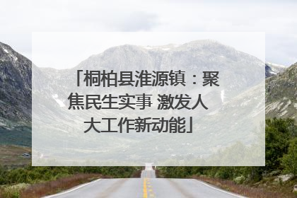 桐柏县淮源镇：聚焦民生实事 激发人大工作新动能
