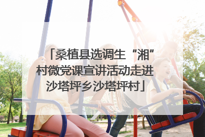 桑植县选调生“湘”村微党课宣讲活动走进沙塔坪乡沙塔坪村