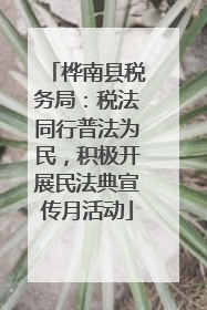 桦南县税务局：税法同行普法为民，积极开展民法典宣传月活动