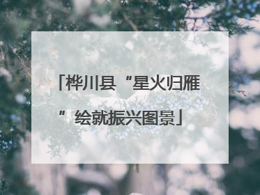 桦川县“星火归雁”绘就振兴图景