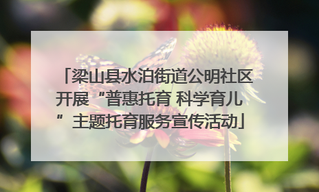 梁山县水泊街道公明社区开展“普惠托育 科学育儿”主题托育服务宣传活动