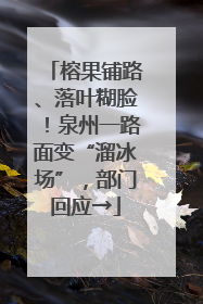 榕果铺路、落叶糊脸！泉州一路面变“溜冰场”，部门回应→