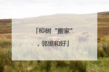 樟树“搬家”，邻里和好
