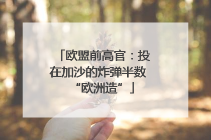 欧盟前高官：投在加沙的炸弹半数“欧洲造”