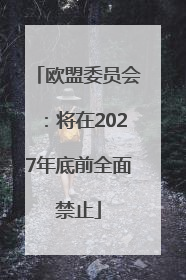 欧盟委员会：将在2027年底前全面禁止
