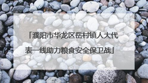 濮阳市华龙区岳村镇人大代表一线助力粮食安全保卫战