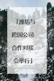 潍坊与跨国公司合作对接会举行