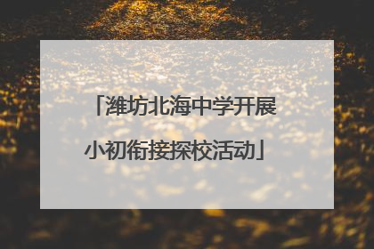 潍坊北海中学开展小初衔接探校活动