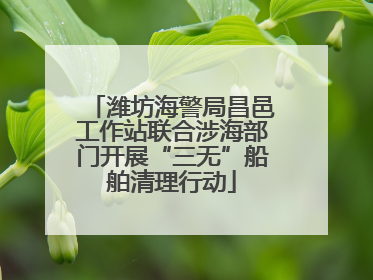 潍坊海警局昌邑工作站联合涉海部门开展“三无”船舶清理行动
