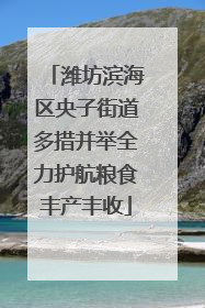 潍坊滨海区央子街道多措并举全力护航粮食丰产丰收
