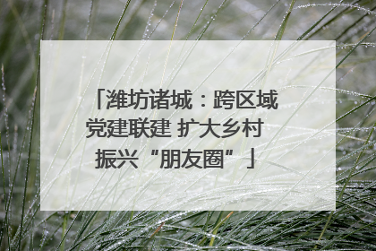 潍坊诸城：跨区域党建联建 扩大乡村振兴“朋友圈”