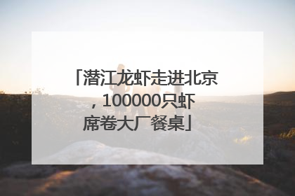 潜江龙虾走进北京，100000只虾席卷大厂餐桌