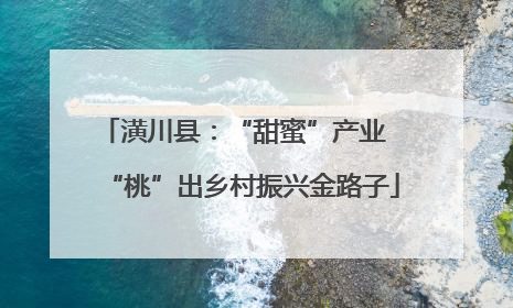 潢川县：“甜蜜”产业  “桃”出乡村振兴金路子