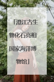 澄江古生物化石亮相国家海洋博物馆