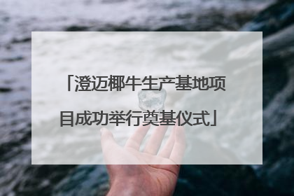 澄迈椰牛生产基地项目成功举行奠基仪式