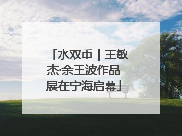 水双重｜王敏杰·余王波作品展在宁海启幕
