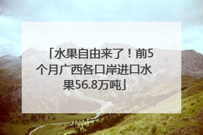 水果自由来了！前5个月广西各口岸进口水果56.8万吨