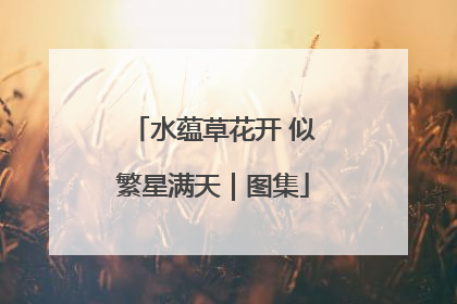 水蕴草花开 似繁星满天｜图集