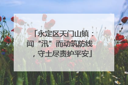 永定区天门山镇：闻“汛”而动筑防线，守土尽责护平安