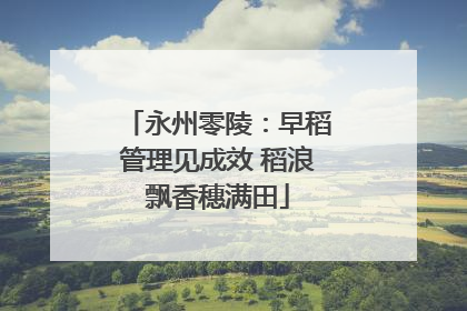 永州零陵：早稻管理见成效 稻浪飘香穗满田