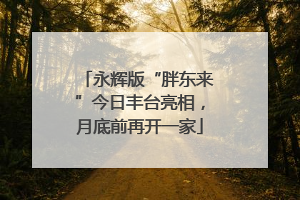 永辉版“胖东来”今日丰台亮相，月底前再开一家