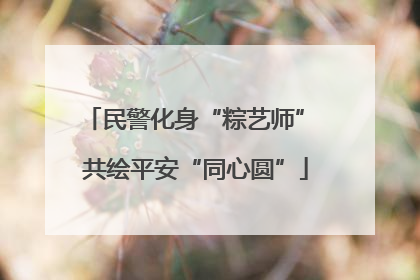 民警化身“粽艺师” 共绘平安“同心圆”