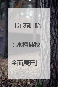 江苏盱眙：水稻插秧全面展开
