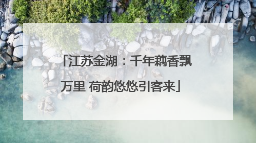 江苏金湖：千年藕香飘万里 荷韵悠悠引客来