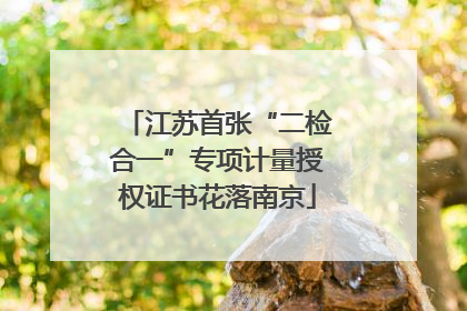 江苏首张“二检合一”专项计量授权证书花落南京