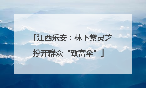 江西乐安：林下紫灵芝撑开群众“致富伞”