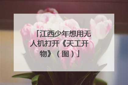 江西少年想用无人机打开《天工开物》（图）