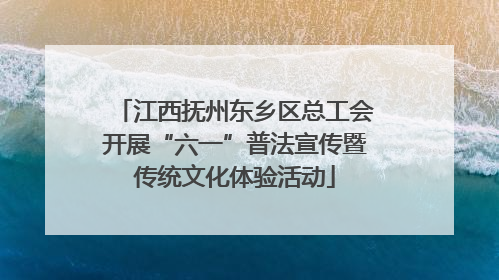 江西抚州东乡区总工会开展“六一”普法宣传暨传统文化体验活动