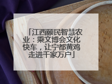 江西颐民智慧农业：乘文博会文化快车，让宁都黄鸡走进千家万户