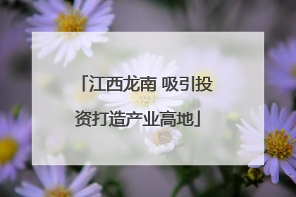 江西龙南 吸引投资打造产业高地