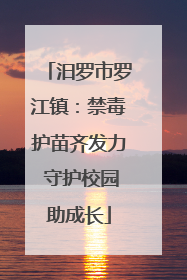 汨罗市罗江镇：禁毒护苗齐发力 守护校园助成长