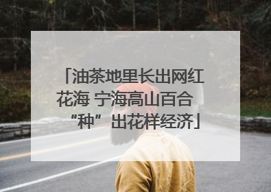 油茶地里长出网红花海 宁海高山百合“种”出花样经济