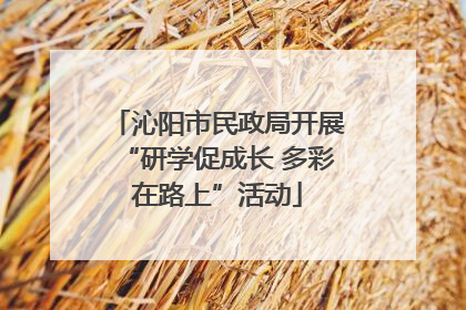 沁阳市民政局开展“研学促成长 多彩在路上”活动