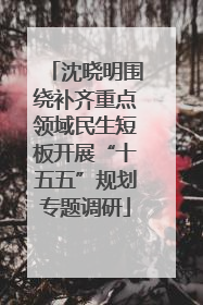 沈晓明围绕补齐重点领域民生短板开展“十五五”规划专题调研
