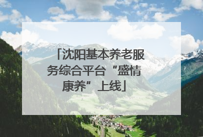 沈阳基本养老服务综合平台“盛情康养”上线