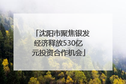 沈阳市聚焦银发经济释放530亿元投资合作机会
