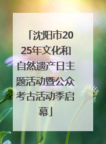 沈阳市2025年文化和自然遗产日主题活动暨公众考古活动季启幕