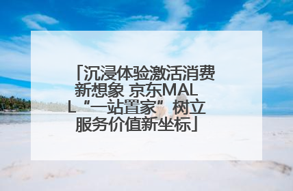 沉浸体验激活消费新想象 京东MALL“一站置家”树立服务价值新坐标