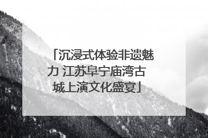 沉浸式体验非遗魅力 江苏阜宁庙湾古城上演文化盛宴